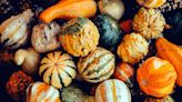 10 Types of Winter Squash and Their Health Benefits