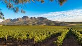 How to Find the Best Wines From South Africa