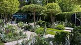 Chelsea Flower Show gardens to be judged on how eco-friendly they are