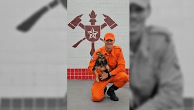 Corpo de Bombeiros abre votação para escolher nome do novo cão da corporação