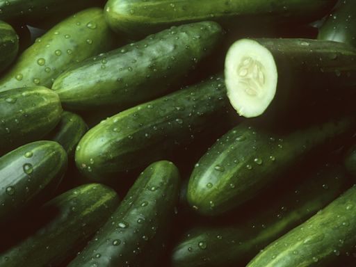 Cucumber recall update as FDA sets highest risk level