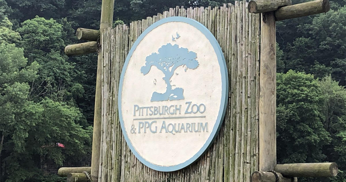 Attractions like the Pittsburgh Zoo, Carnegie Science Center and National Aviary will offer free admission days this summer. Here's how it works