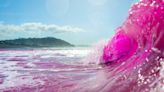 San Diego beach water is turning bright pink