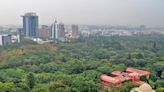705 forest encroachment cases registered in Bengaluru Urban Division