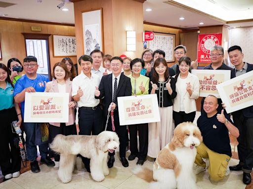 林岱樺呼籲建立非營利性犬貓血庫 | 蕃新聞