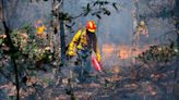 México vive un infierno, 205 incendios forestales siguen activos