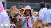 The Royal Welsh Show 2024: Everything you need to know