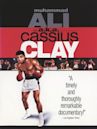 A.k.a. Cassius Clay