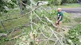 Two twisters confirmed in Henagar, Ala., area from last week’s storms | Chattanooga Times Free Press