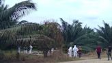 Masacre en la frontera con Venezuela: cuatro cuerpos fueron encontrados en zona rural de Cúcuta