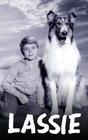 Lassie