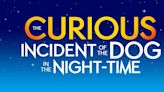 Video: Watch the Official Trailer for Bergen County Players' THE CURIOUS INCIDENT OF THE DOG IN THE NIGHT-TIME