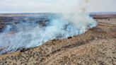 Committee finds decayed, broken utility pole that caused largest wildfire in Texas history