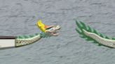 Boaters brave rainy conditions for annual Dragon Boat Race