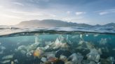 Un estudio global acaba de revelar quiénes son los mayores contaminadores de plástico conocidos del mundo