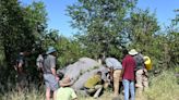 Zimbabwe’s Gonarezhou National Park launches wireless tech system to combat wildlife crime