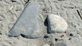 New Hampshire Fish and Game: Piping plover eggs illegally removed from Hampton Beach