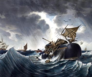 How whaling ventures in the 1800s shaped venture capital as we know it