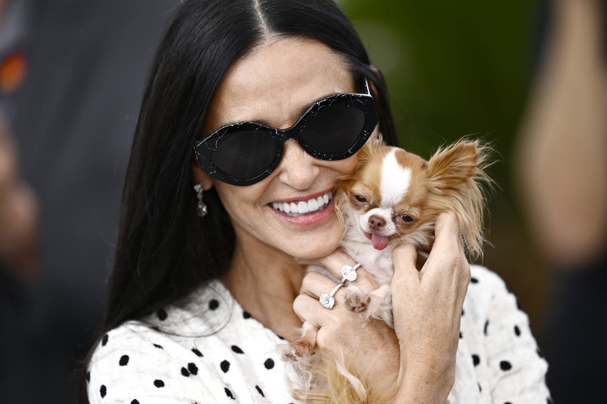 Fans are obsessed with Demi Moore’s tiny dog Pilaf at Cannes 2024