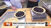 Blueberry Pie Day: Mo Pie