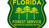 Mandatory burn ban in effect for Indian River County