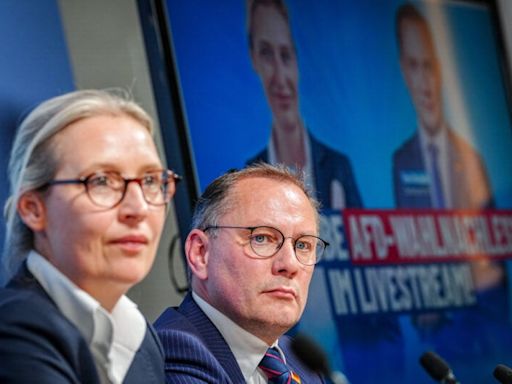 Die Mär vom Rückenwind der AfD: Sogar die Europawahl zeigt, wie stark die AfD zuletzt an Zustimmung verloren hat – Analyse