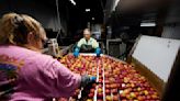 Fight to curb food waste increasingly turns to science