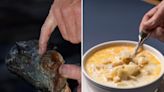 A Florida man found a massive clam on the beach and was going to turn it into chowder. It turned out to be more than 200 years old.