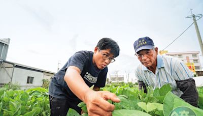 【播種碳匯護神山2】老農種碳竟成台積電永續夥伴 碳金轉換讓農民、科技業和環境三贏