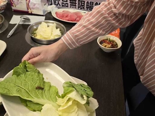 錢都火鍋店出包！白菜上驚見「活體蛞蝓」蠕動 網酸：餐廳必備食材？