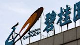 Country Garden Holdings Likely to Default on State-Backed Bond
