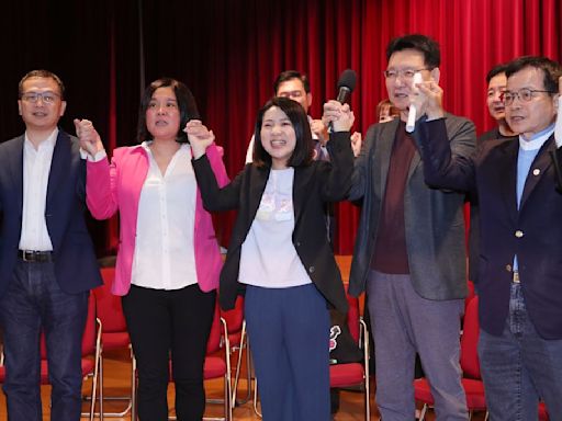 徐巧芯一個人的武林！ 黃揚明喊：國民黨要感謝她