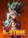 Dr. Stone