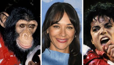 Rashida Jones Casually Revealed She Was Bitten By Michael Jackson’s Pet Chimp As A Kid After She “Slapped” It