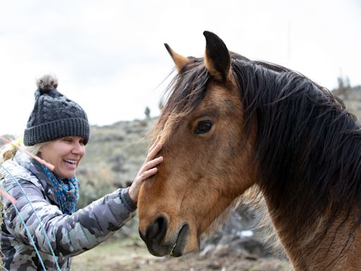 ‘Horse detective’ adopts wild mustangs, reunites them with herds