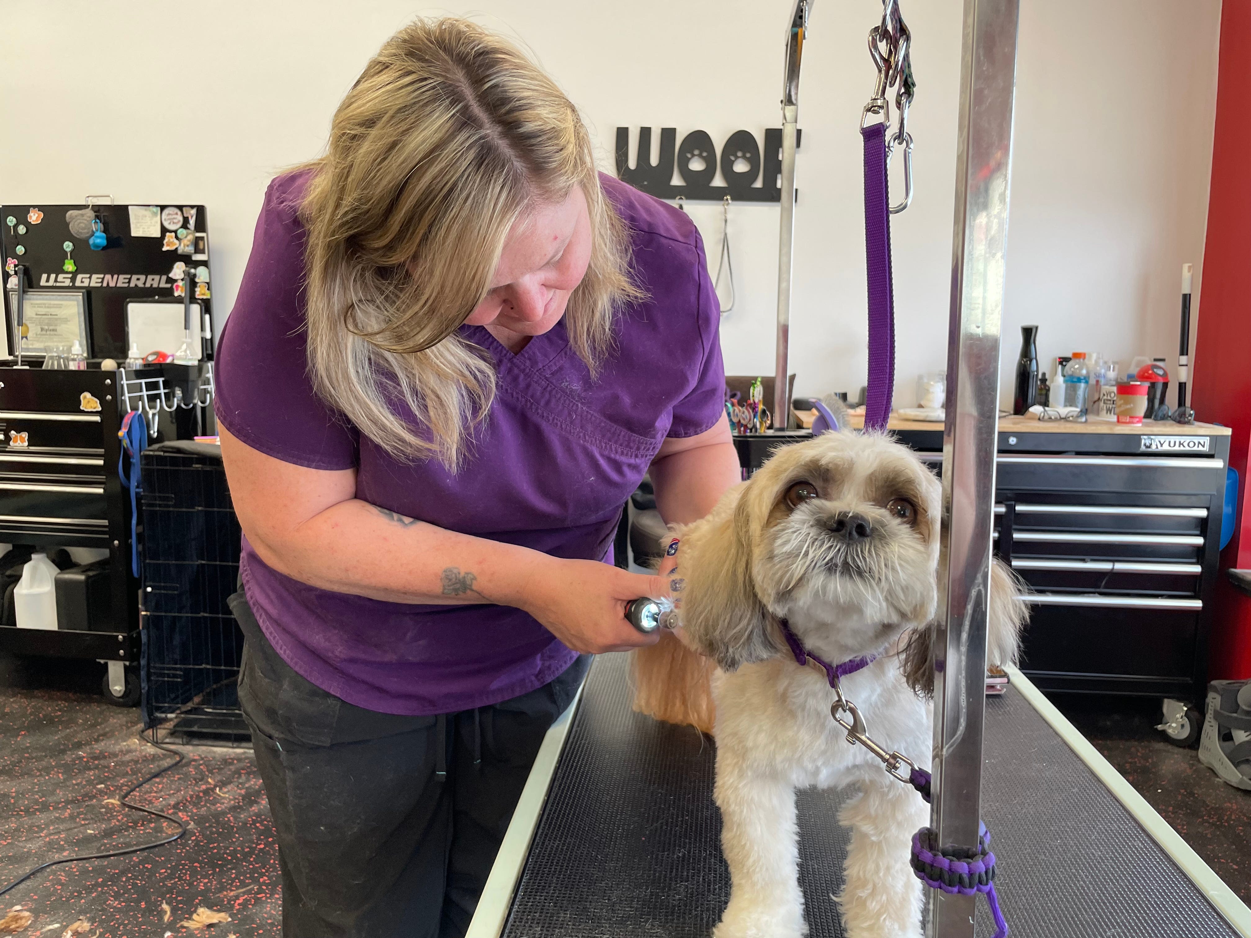 Urban Paws Pet Spa to hold grand opening for new location