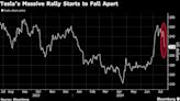 Tesla Rally Gives Way to Rout as Analysts Sour on the Stock