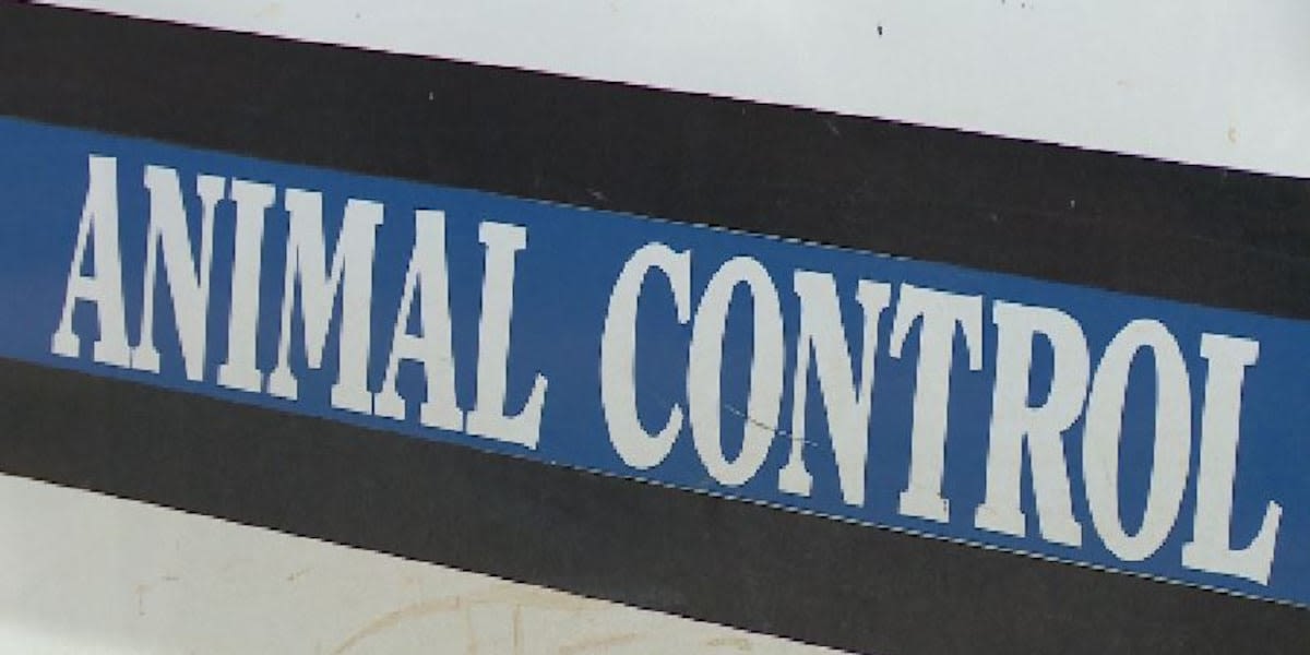 City of Blue Springs drops Pawportunities as animal control partner