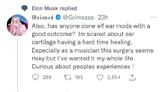 Elon Musk Seemingly Disapproves of Grimes' Longtime Desire to Get 'Elf Ear Surgery'