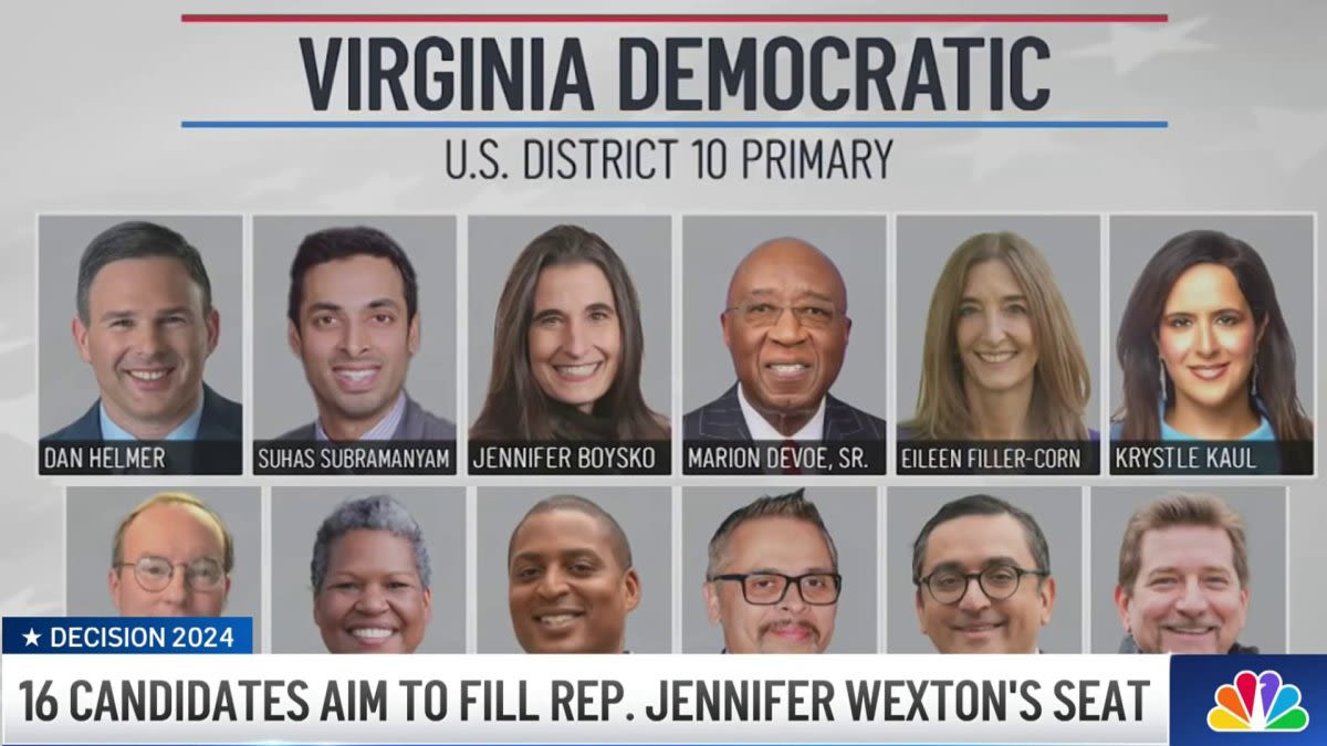 16 candidates competing for Virginia's 10th district seat to replace Wexton