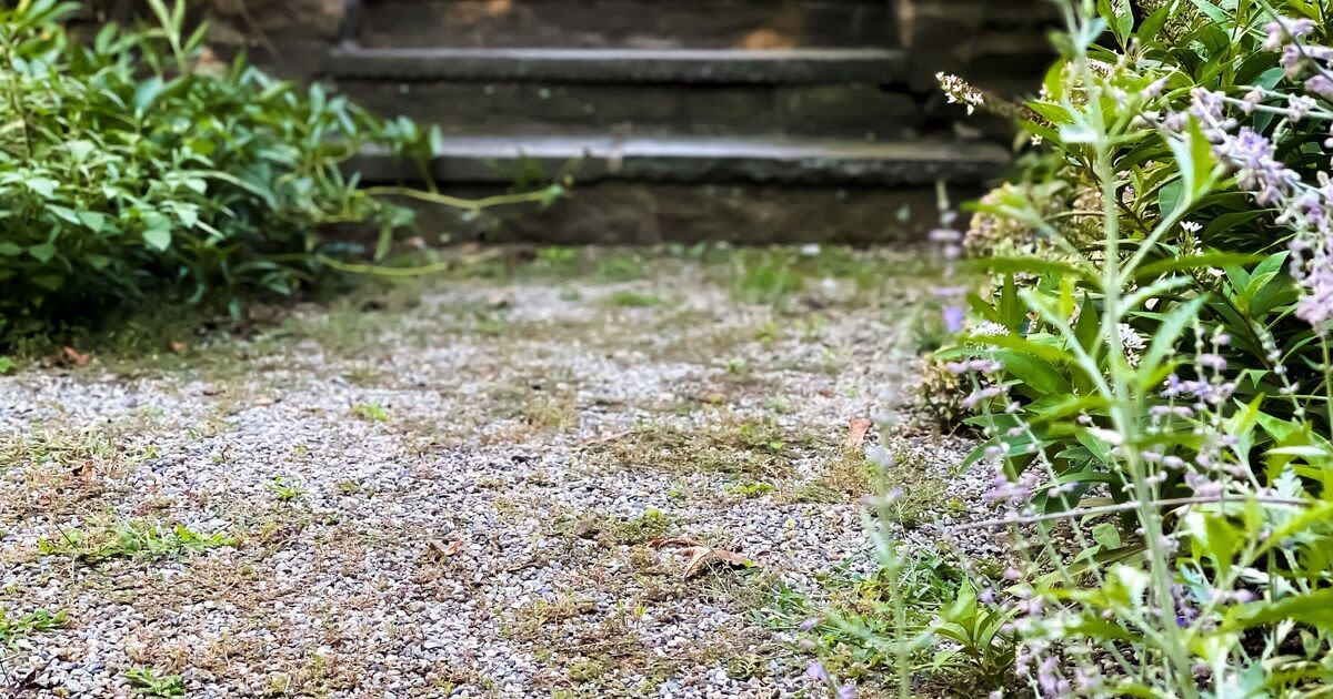 White vinegar and salt need one other kitchen item to kill gravel weeds for good