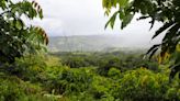 Costa Rica restored its forests and switched to renewable energy — what can the world learn from it?