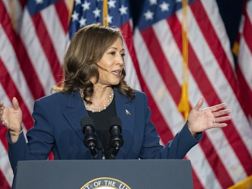 Republican leaders urge colleagues to steer clear of racist and sexist attacks on Harris