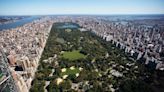 Apuñalan a un perro en el Central Park de Nueva York tras una "disputa verbal" entre dos dueños, dice la Policía