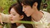 Hidden Love Ending Explained & Spoilers: How Does the Zhao Lusi & Chen Zheyuan Starrer End?