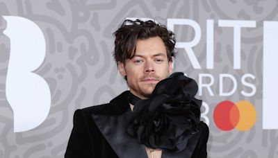 La acosadora de Harry Styles irá a la cárcel y no podrá asistir a ningún concierto suyo cuando salga