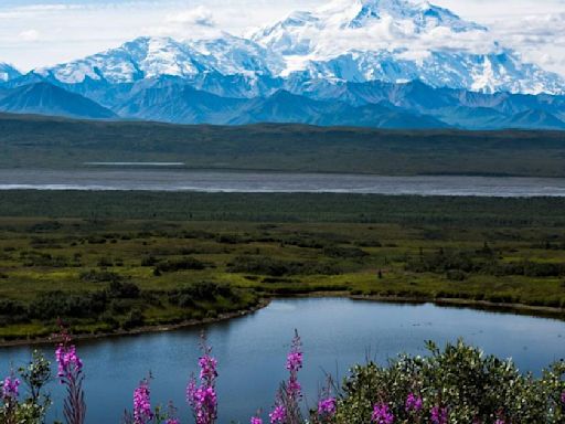 Campsites and trails are back open at Denali National Park and Preserve after Riley wildfire