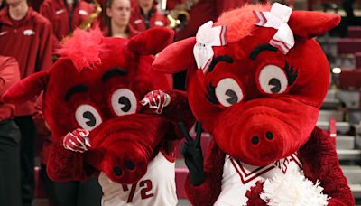 SEC Mascot Quiz: With Addition of Texas, Oklahoma, How Many Do You Know?