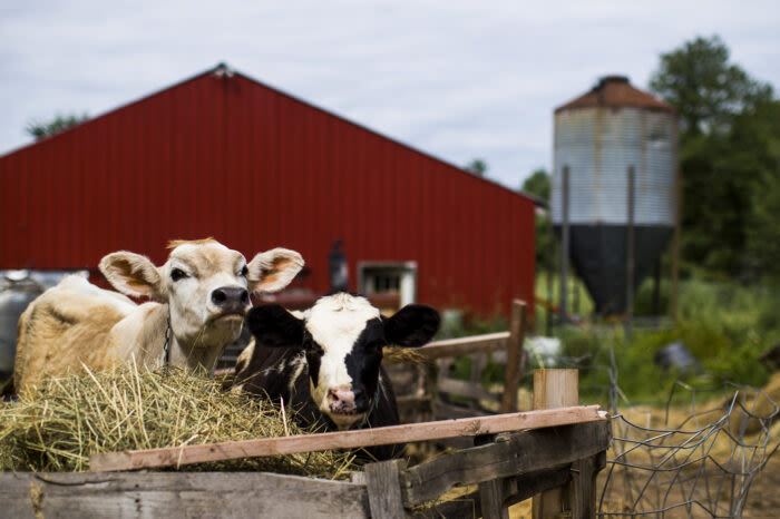 Big farms draw property tax break from Tennessee lawmakers