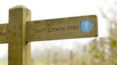 South Downs National Park launches green investment scheme to boost biodiversity